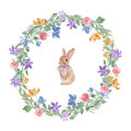 Image Not Available